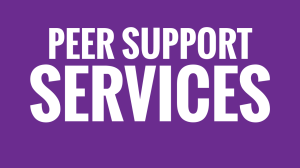 Highlights: Peer Support Services